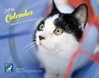 2016 Toronto Cat Rescue Calendar