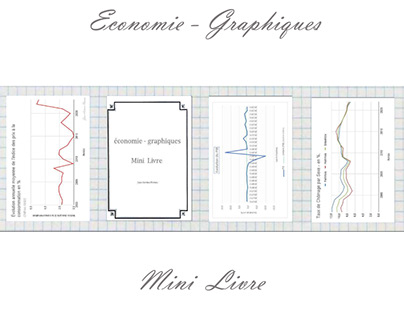 Economie - Graphiques , Mini Livre.