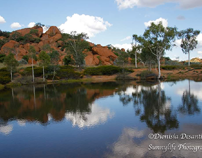 reflections of nature, QLD, Australia