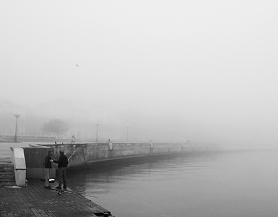 On a Foggy Morning (3)