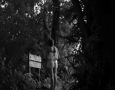 Reunion Island // The Jungle