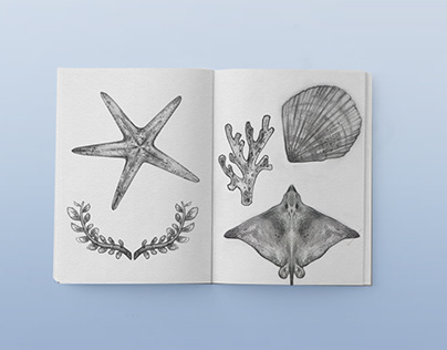 Blue Velvet Sea - loose drawings (2019)