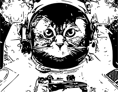 Gato espacial