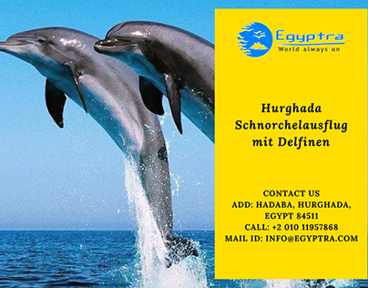 Hurghada Schnorchelausflug mit Delfinen