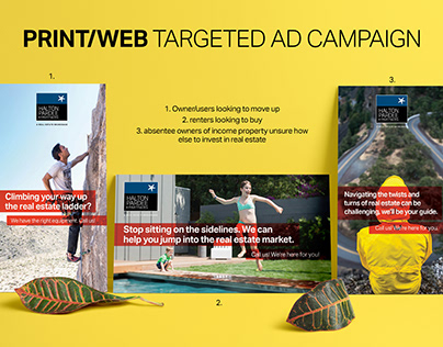 Print/Web Targeted Ad Campaign for HP+P
