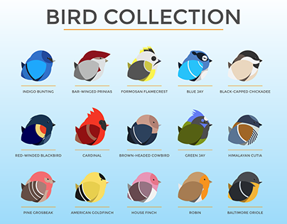 bird collection