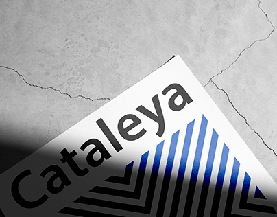Branding for Cataleya construction materials