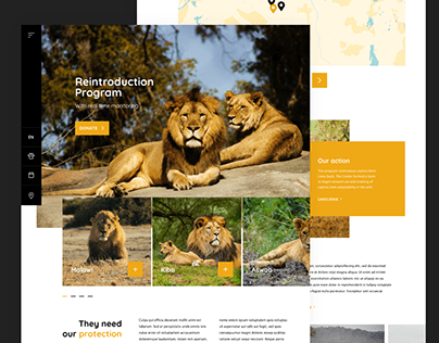 Lion's Reintroduction Center Website