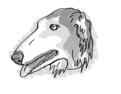 Borzoi Dog Breed Cartoon Retro Drawing