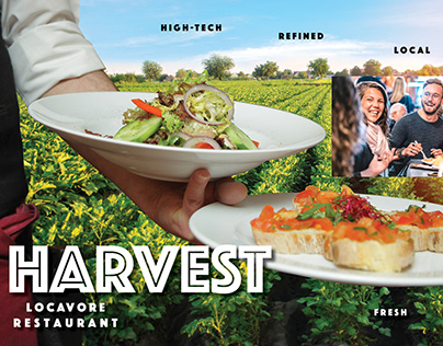 Vision Board for Harvest Locavore Restaurant