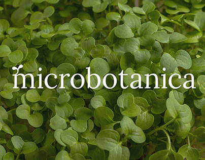 Brand of microgreens Microbotanica