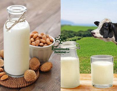 Sữa bò hay sữa hạt tốt hơn cho sức khỏe?