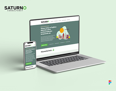 Saturno Consultancy Web Design