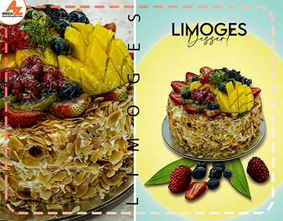 Our Work With LIMOGES