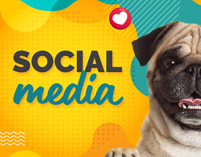 Social Media B´Bella Pet Shop