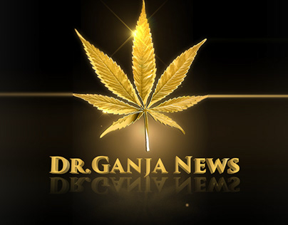 Cannabis Markets - DrGanja News