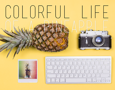 Colorful Life of a Pineapple