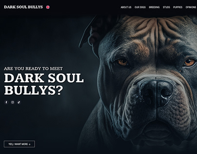 Landing Page of American Bully XXL kennel.