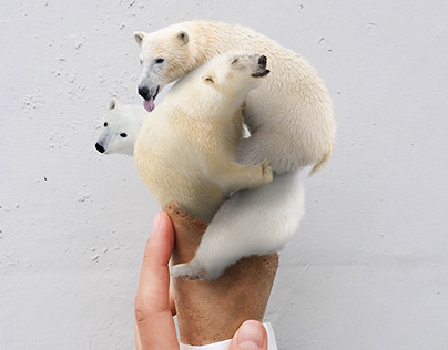 Polar Bear Icecream