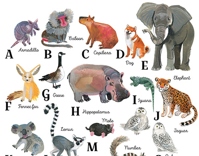 English alphabet animals