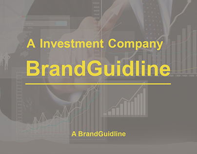 A Investment Company BrandGuidline, 524