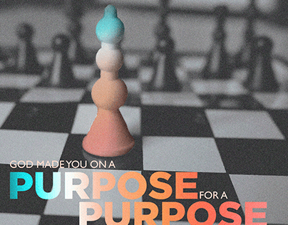 On a Purpose for a Purpose