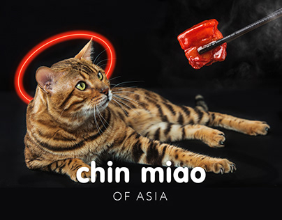 Logo and identity from pan-asian cafe | CHIN MIAO