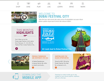 Dubai Festival City - website (pitch)