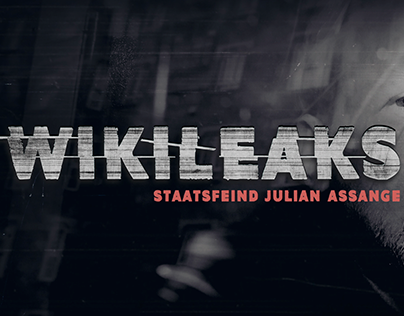 Wikileaks: Staatsfeind Julian Assange