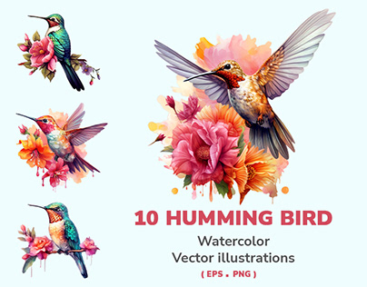 Project thumbnail - Watercolor Hummingbird Vector Illustration.