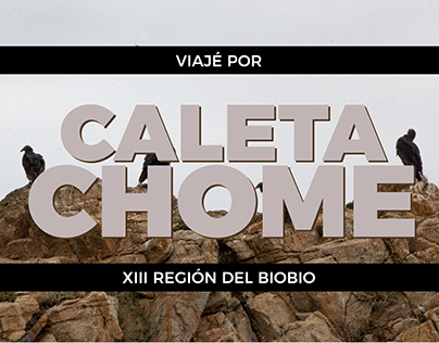 Viajé por Caleta Chome | XIII REGIÓN