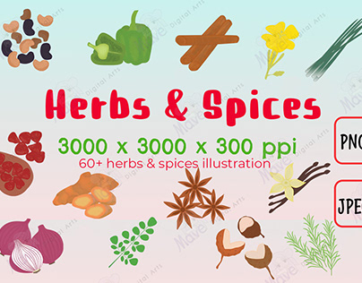 Herbs and Spices Illustration