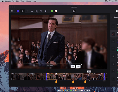 Video Annotation app for MacOS