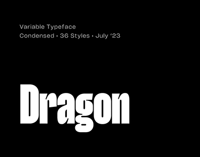 Dragon Typeface / 36 Styles / Variable