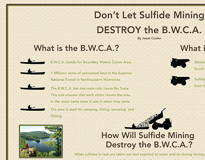 Save the Boundary Waters Poster