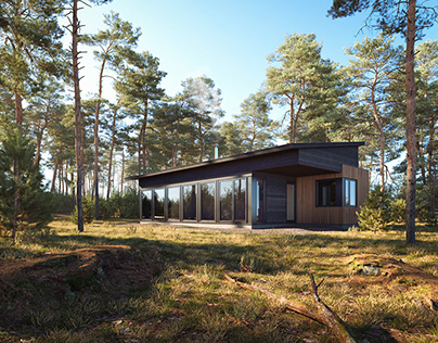 Project thumbnail - CGI: Forest House