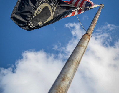 Patriotic pole