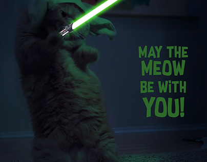 Star Wars: The Cat Style Photoshop Manipulation