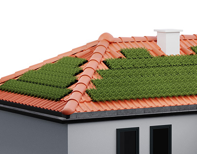 3D "Rooftop Vegetation" Project