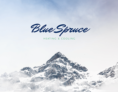 UI / UX Website Design Blue Spruce