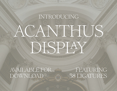Project thumbnail - Acanthus Display