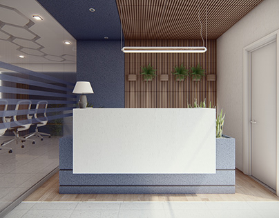 Interior Design project for an IT Solutions office