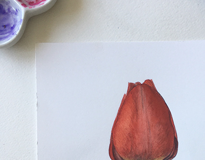 Red Tulip Watercolor