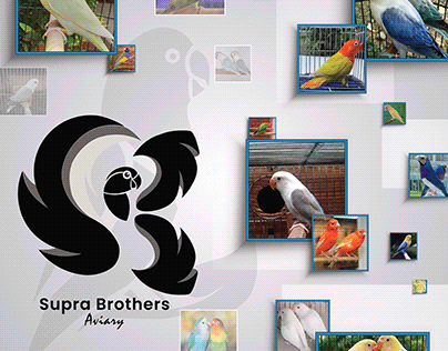 Flex For Supra Brothers Aviary