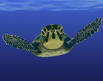 Turtle in Photoshop