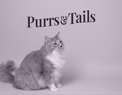 Purrs & Tails - Brand Identity Design