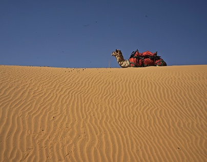 Desert of Jaisalmer