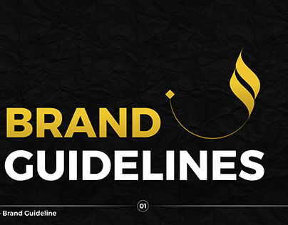 Visual Guru Brand Guidelines | Brand Identity Design