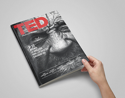 TED Magazine