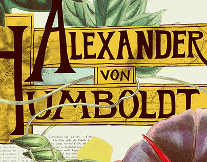 Von Humboldt: Beyond the Stream